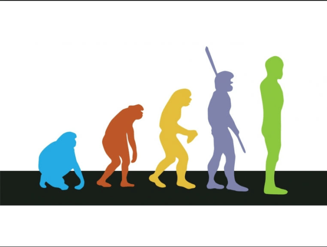 screen-shot-2017-02-28-at-11-36-24-pm