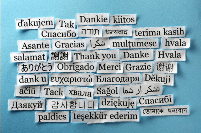 屏幕快照 2017-05-03 04.03.33