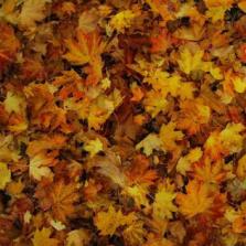 EP_Childish_Gambino_Cover