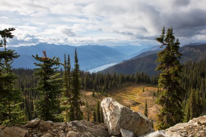 Chase Rickaby Tamarack Media Co.